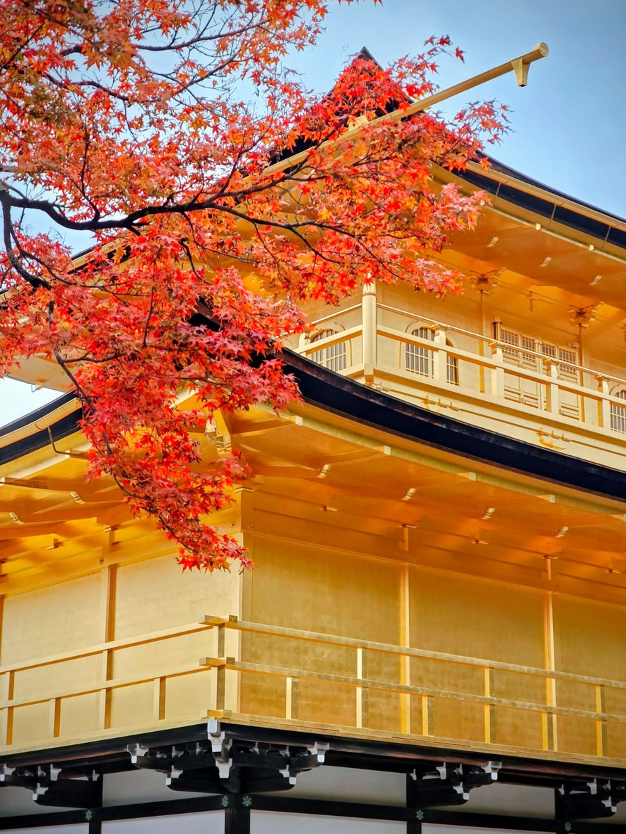 El otoño en Japón es otro nivel. 🍂 El contraste entre el oro del Kinkaku-ji y el rojo de los arces es, simplemente, perfecto. ⛩️✨
Una joya de Kioto que hay que ver al menos una vez en la vida. 🇯🇵✈️
#Japón #Kioto #Otoño #Travel #Kinkakuji