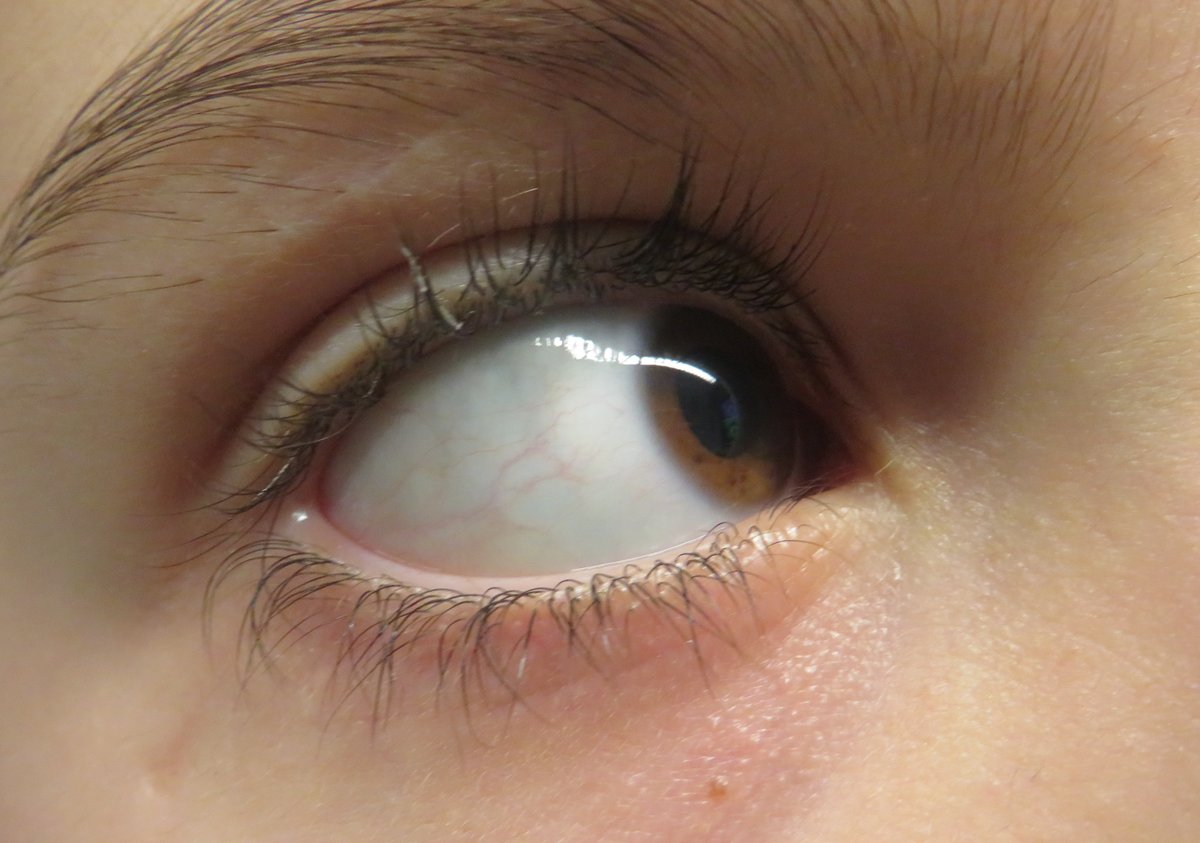 Bromsgrove Prep tweet media