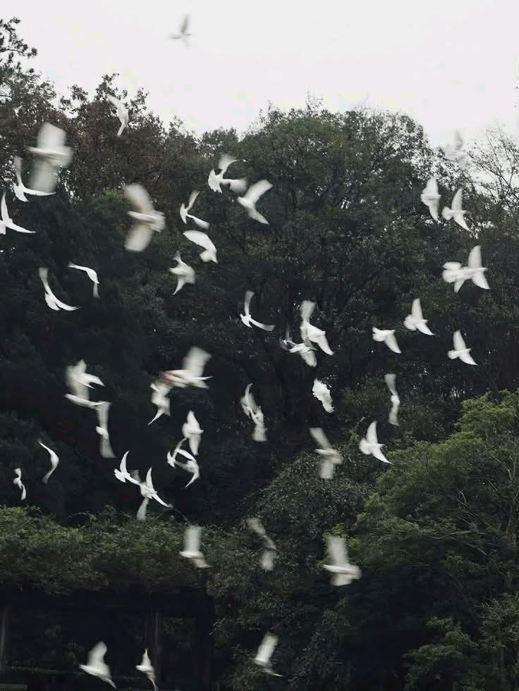 fos7a_f's tweet photo. الكون حَولكَ والجَمَادُ يُسَبِّحُ
أتَكُونُ أنتَ الصَّامت اللَّاهِي؟! https://t.co/TOpzbtM53h