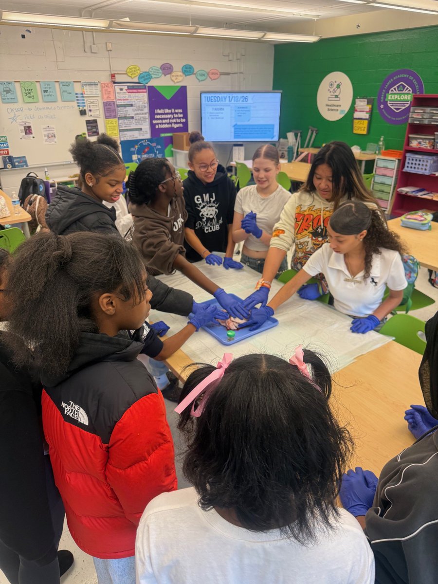 Grace James Explore Pathways tweet media