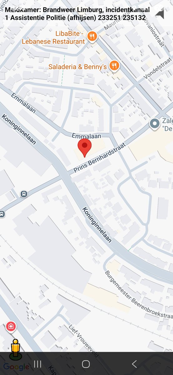 Assistentie Politie bij afhijsen in Roermond