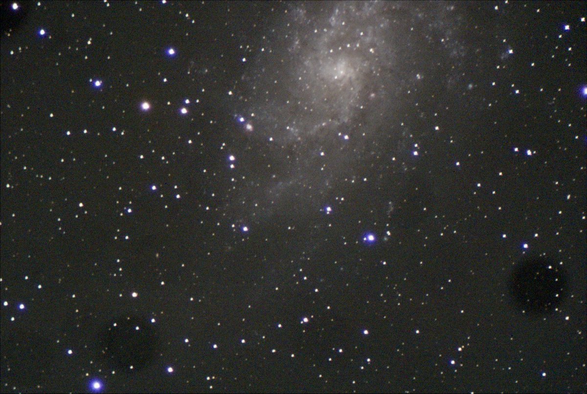UIS Observatory tweet media