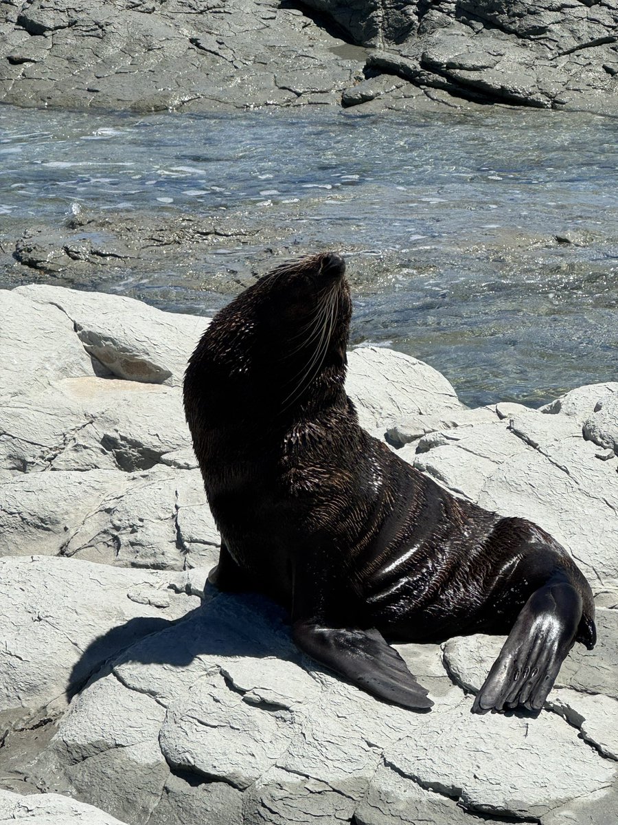 charles anyan Ⓜ️ tweet media