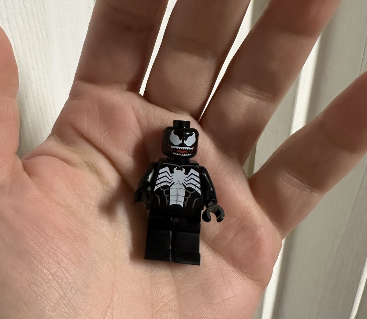 ฅ^•ﻌ•^ฅ ᴠᴋ tweet media