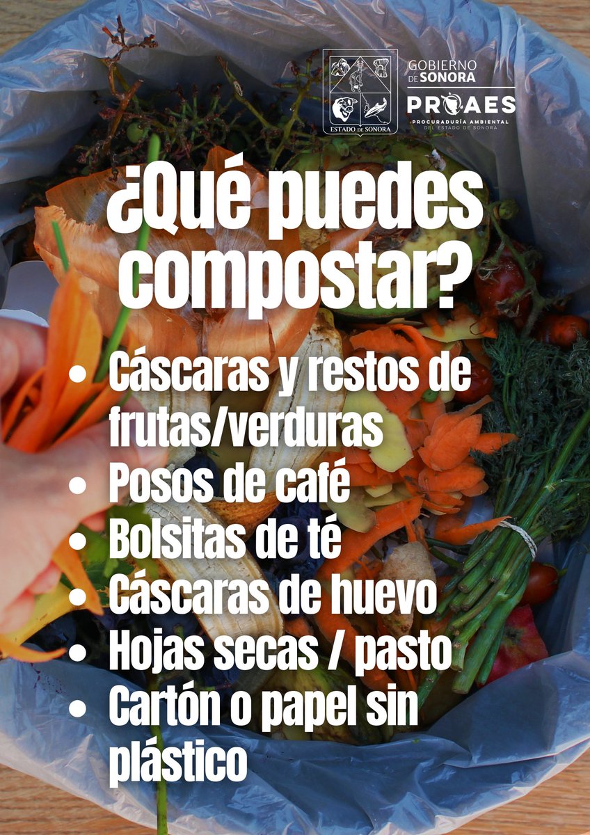 La composta es una forma sencilla y sustentable de aprovechar restos de comida y transformándolos en un fertilizante natural que fortalece el suelo.
Siguiendo el liderazgo del gobernador <a href="/AlfonsoDurazo/">Alfonso Durazo</a> , continuamos promoviendo la cultura ambiental en Sonora.