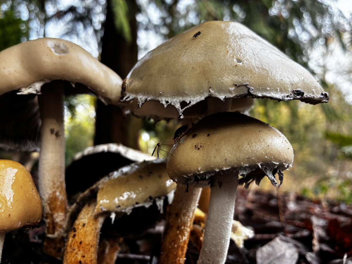 SeizureSalad 🧠 tweet media