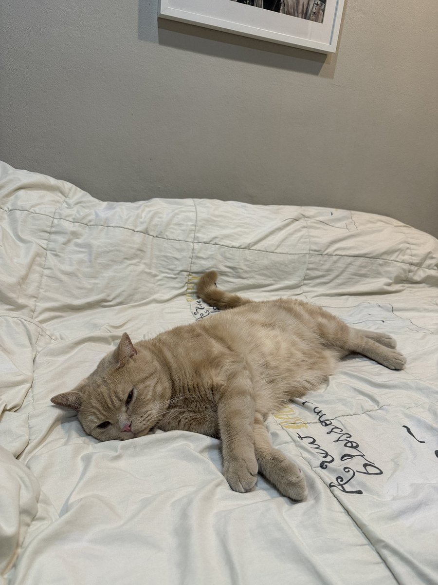 pieceofthecloud's tweet image. วันนี้ ก็นอนต้อนรับอีกแล้