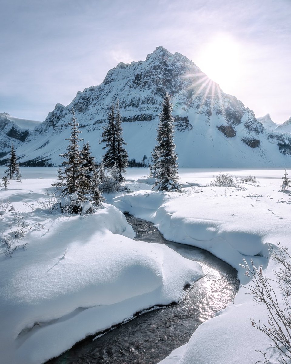 danschyk's tweet image. Bow Lake, Banff