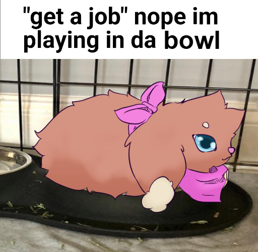 MadyDrawz's tweet photo. Yippe Bowl Time https://t.co/1uaBJ5iCOo