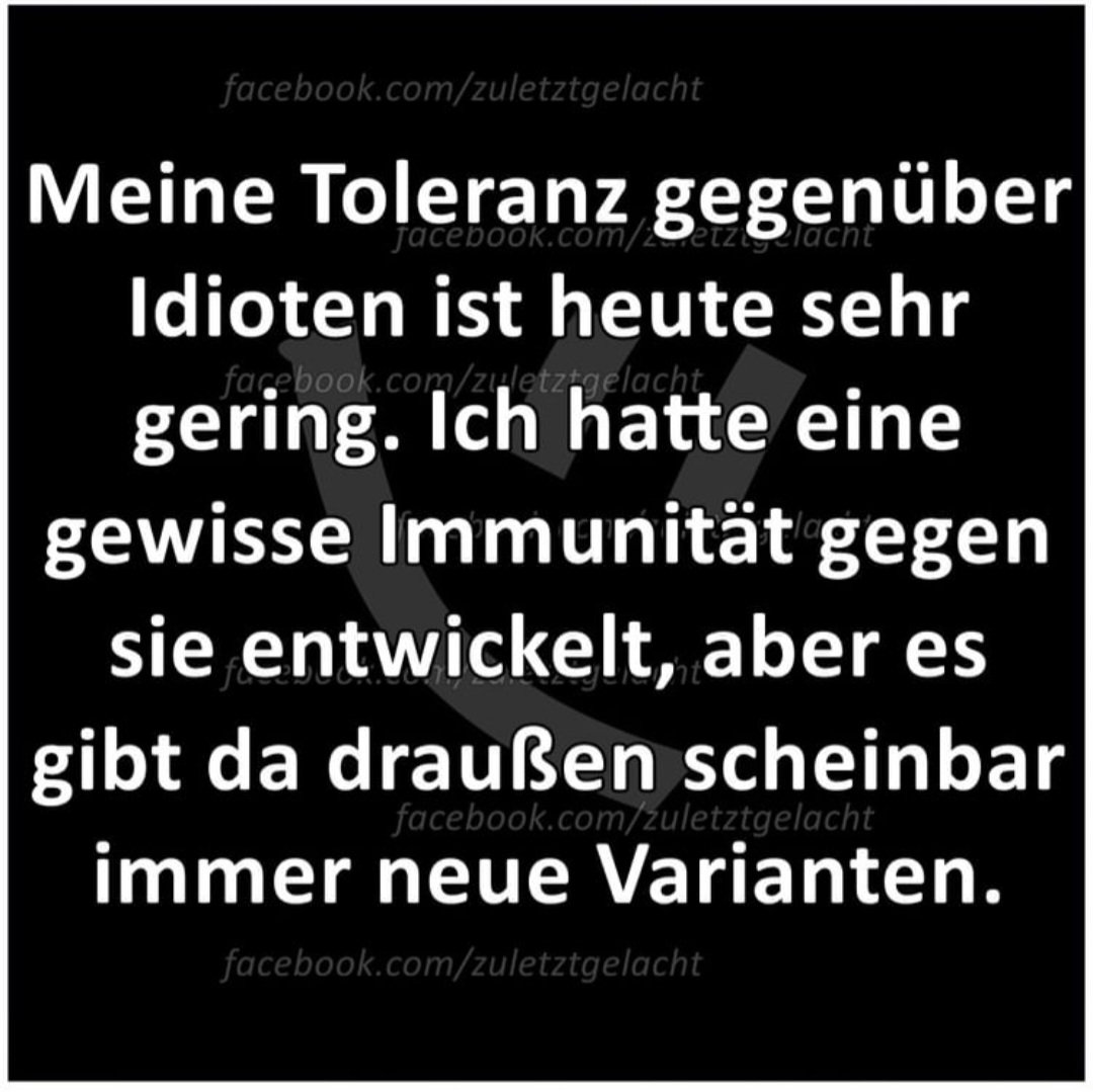 PaddyWuff's tweet image. 