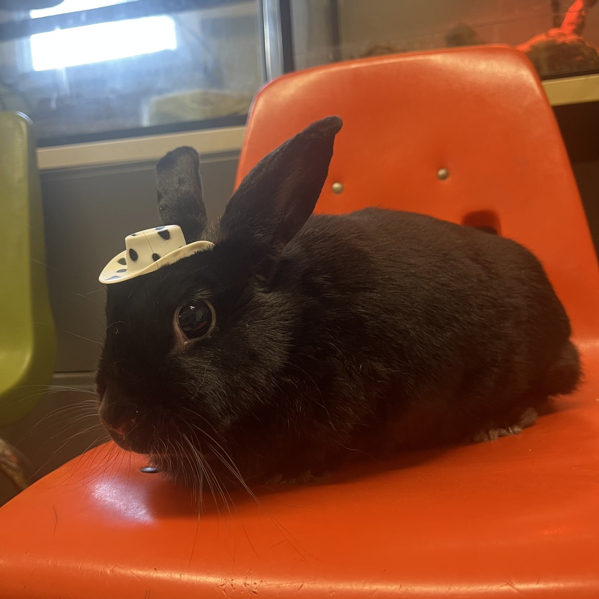 Camp Herrlich tweet media