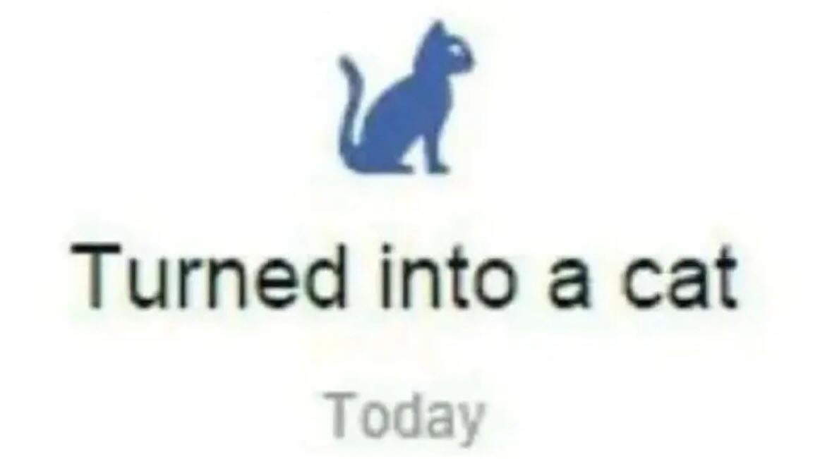 PunchingCat's tweet image. 