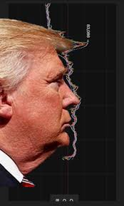 Nikita | Alpha Arbitrage tweet media