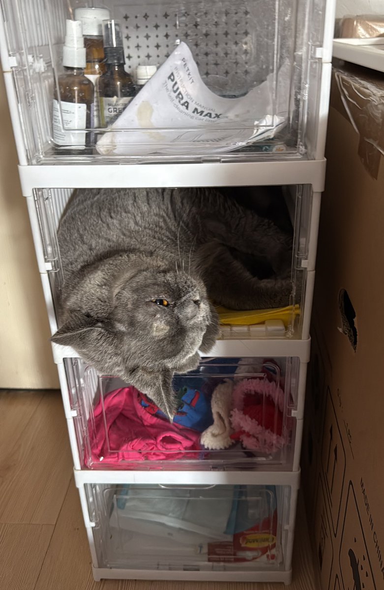 Yuvalanmıştı geri geldi yine yuva arıyorum hemde Eskişehirden geri geldi 🥹