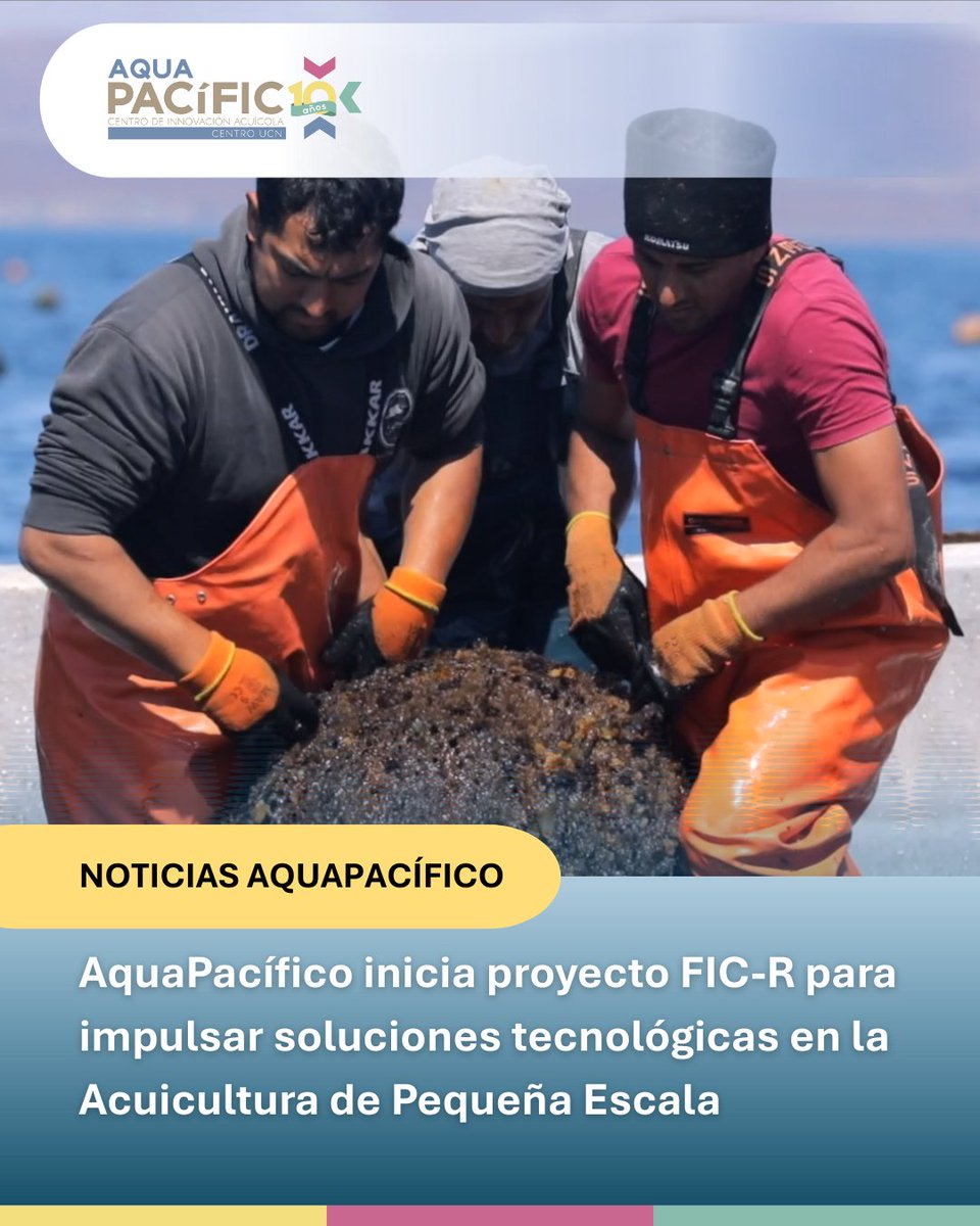 Desde <a href="/AquaPacificoCL/">AquaPacífico</a> impulsamos soluciones de ingeniería para tecnificar procesos críticos en la APE, reducir el esfuerzo físico y fortalecer a las organizaciones locales 🛠️🌊
Proyecto FIC-R Gobierno Regional de Coquimbo.
🔗 aquapacifico.ucn.cl/?p=79616
#APE #InnovaciónAcuícola #FICR