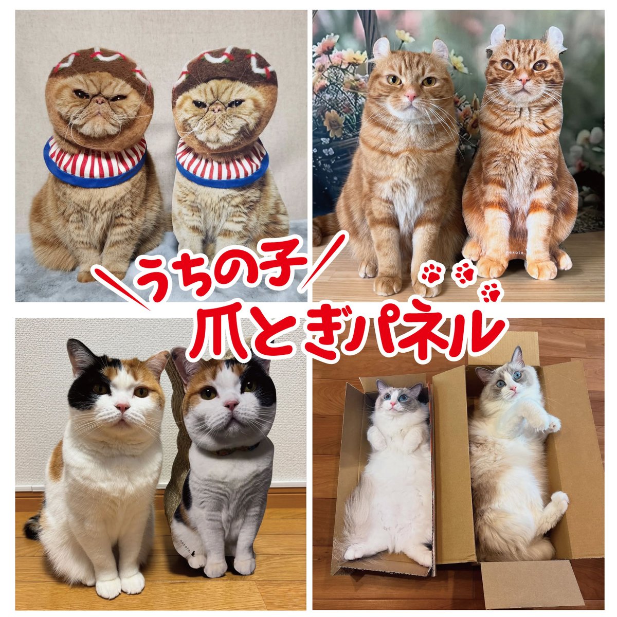 公式】nekoto_ (@nekoto_bando) / Posts / X