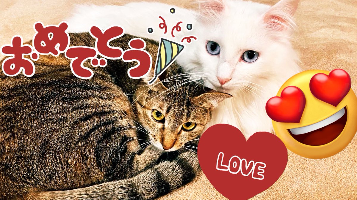 あい💛(•ө•)💛 (@SS1150aiiiiiii) / Posts / X