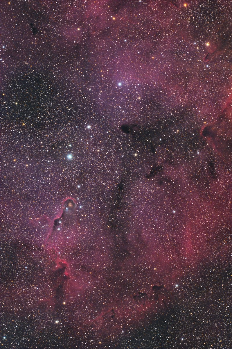 思えば昨年７月以来遠征してないな。
今週末は晴れたら行きます！
過去作（２０２４年１１月）ＩＣ１３９６を。
FF130APO（F7.7）＋AM5　ASI2400MCP（−20℃） 180分×40枚（計120分）