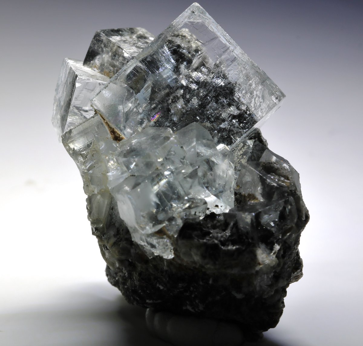 Kotoko (@Kotoko_f) / Posts / X