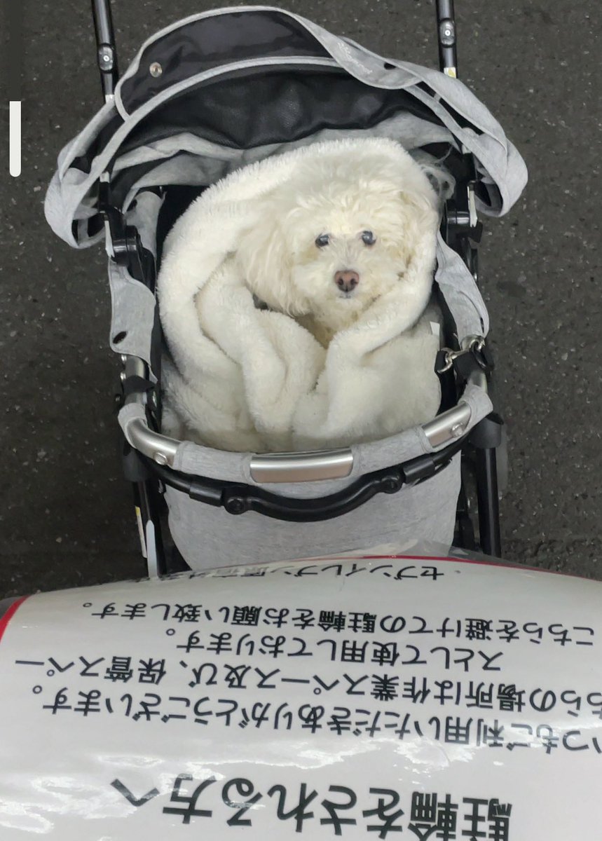 ずっと目があった
かわいいなとおもった