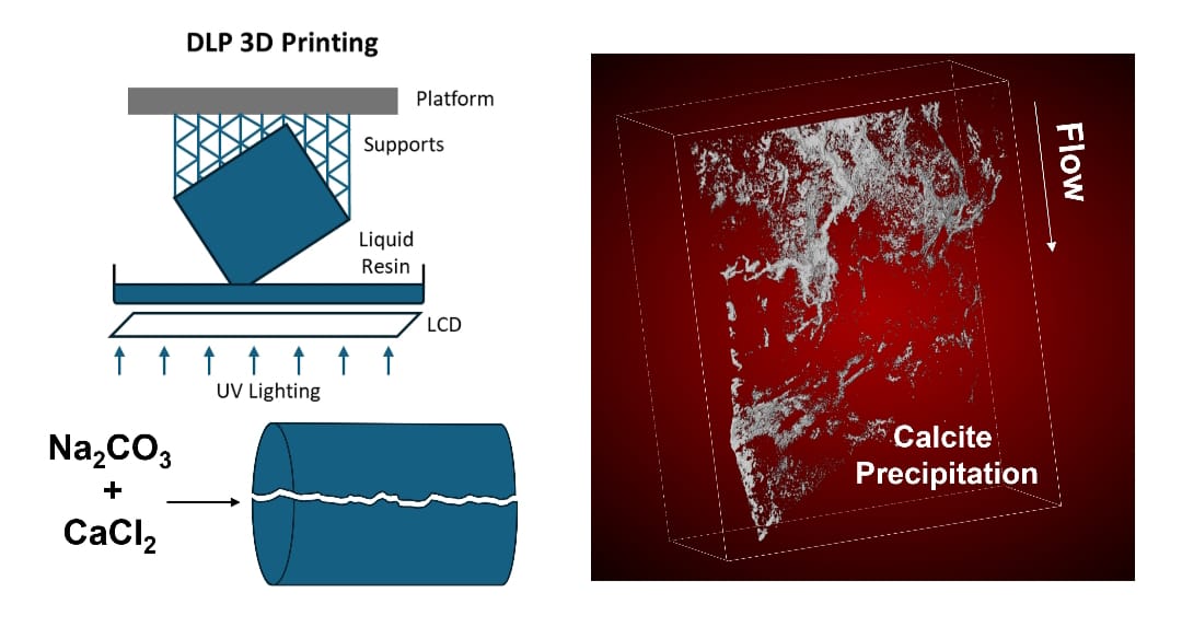 InterPore tweet media