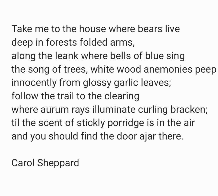 Carol Sheppard tweet media