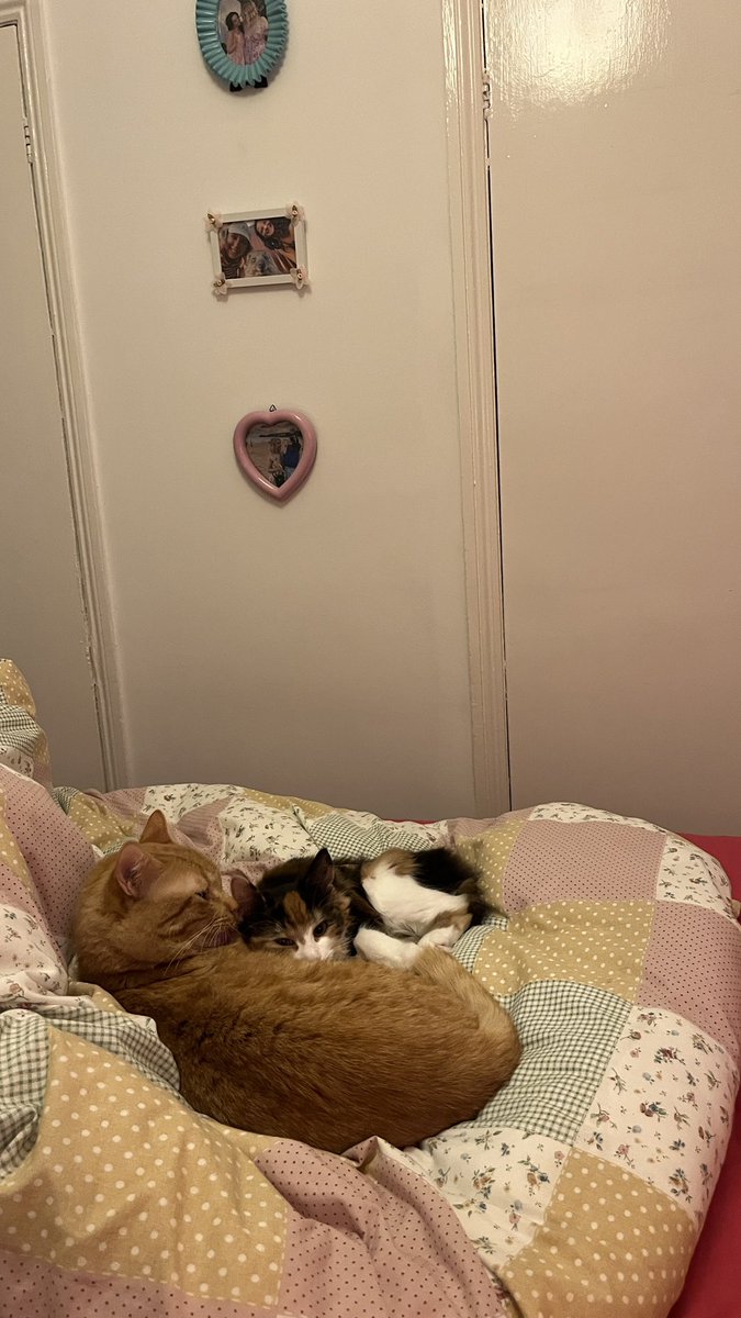 my children (biological)