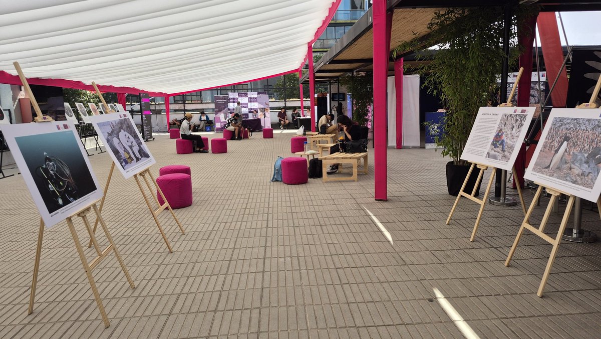 Instituto Milenio BASE tweet media