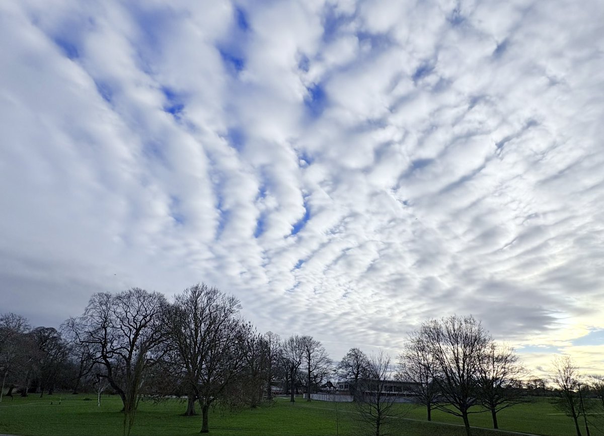 Jo Woolley tweet media