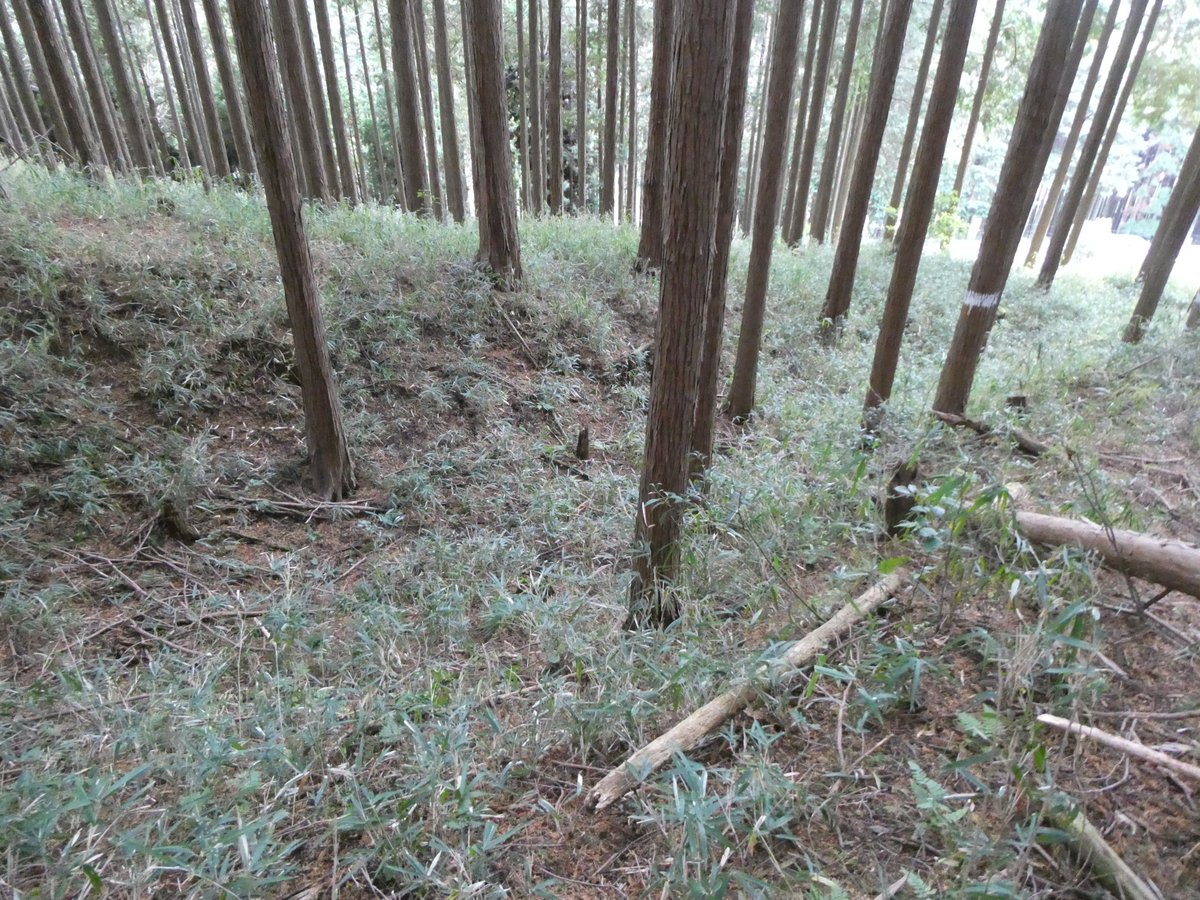 ko78044064's tweet photo. 本郷城（ほんごうじょう）（山神の城）
松永久秀 陣城
奈良県宇陀市（2025年） https://t.co/dLAbsn5Vq0