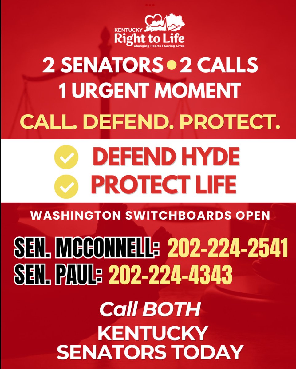 Addia Kathryn Wuchner tweet media