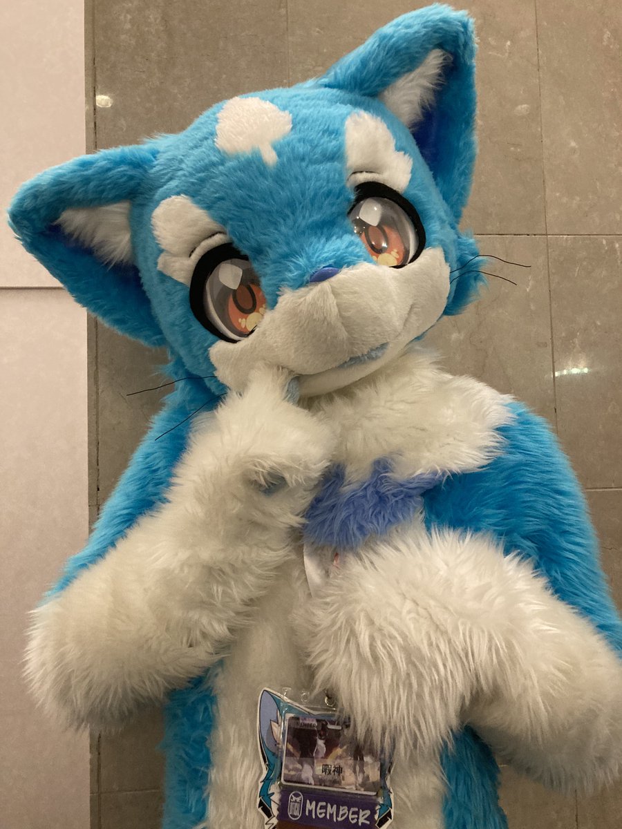 のぼどら⛩️♨️/モリファ🐰🌿 tweet media