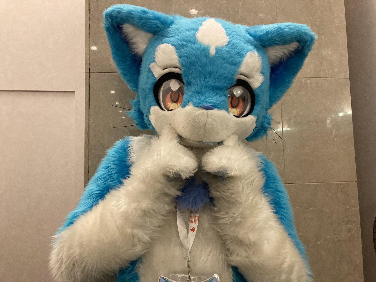 のぼどら⛩️♨️/モリファ🐰🌿 tweet media