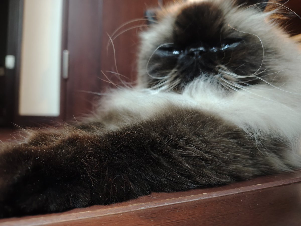 むぎ (@Mugi_is_No1) / Posts / X