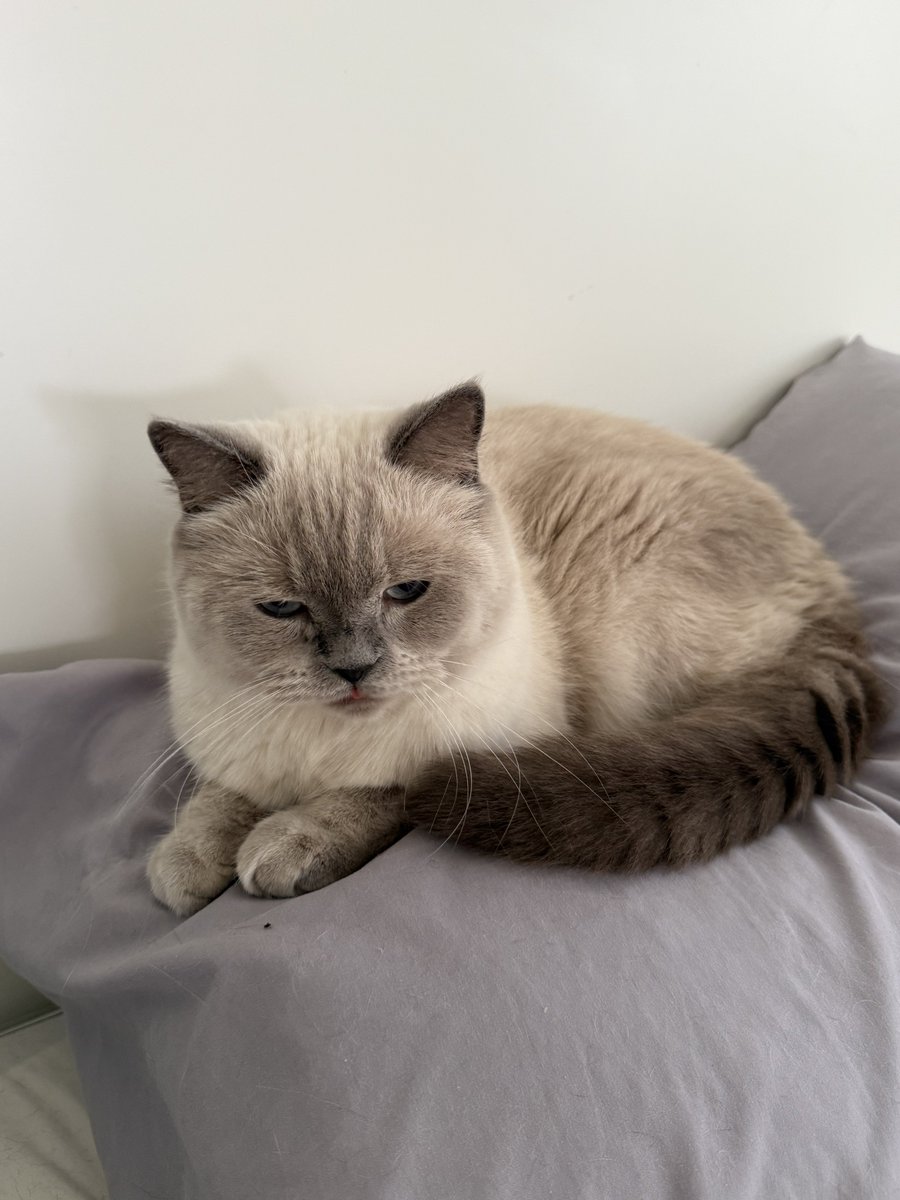 หนาวจนหน้าไหม้หมดแล้ววว