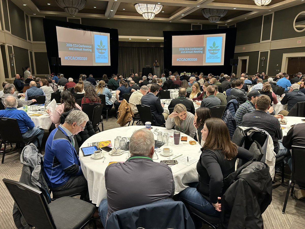 Bernard Tobin tweet media