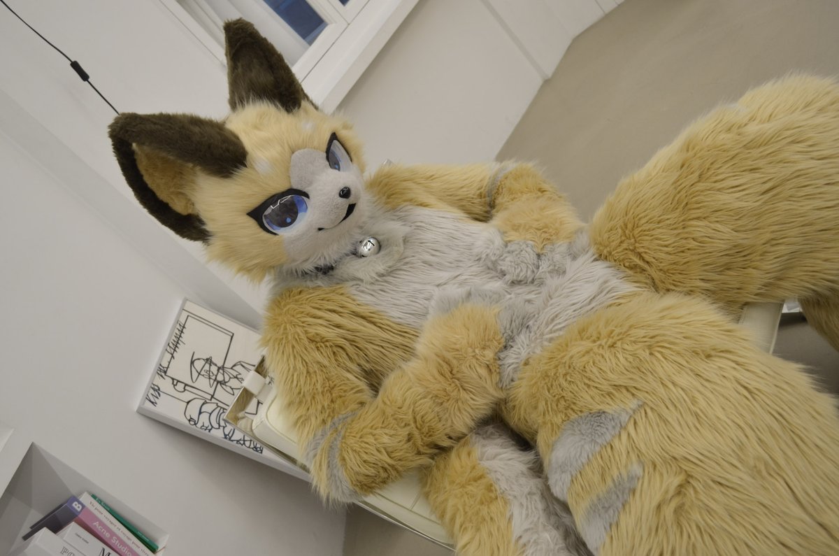 shellpwe's tweet image. #fursuit #furry #着ぐるみ

만-족
満ー足

📸 : @imu_0628