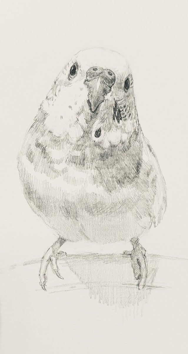 sui_chan_man's tweet image. ｸﾈ