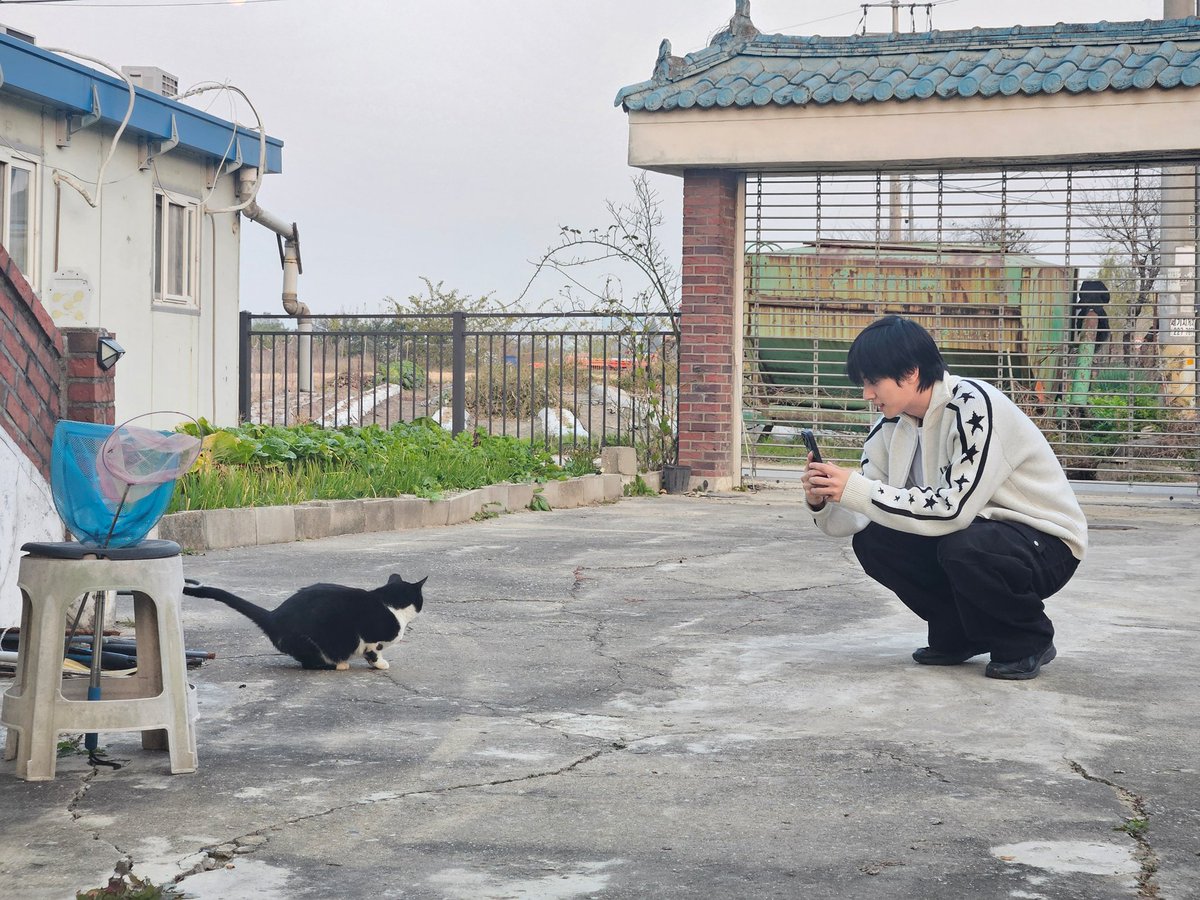 With cats 🐈‍⬛🫶🏻 #WeveSelcaDay