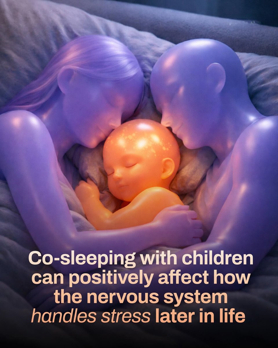 Shining Science tweet media