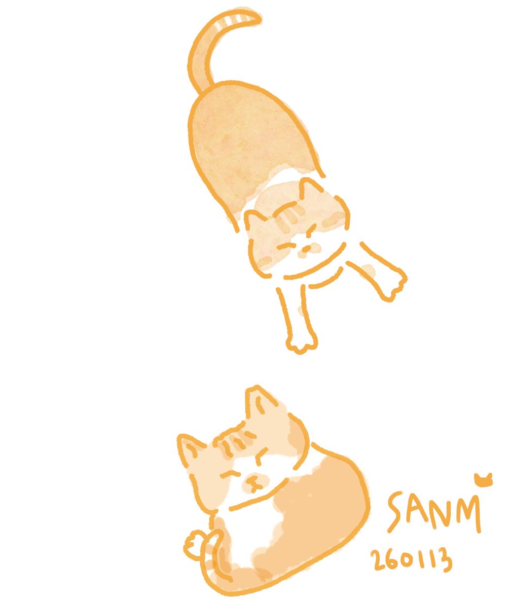 SANMMNAS's tweet image. 오늘은 고양이 그리기연습