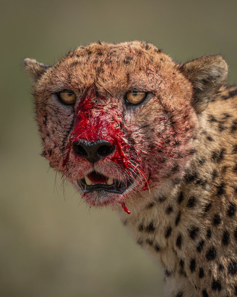 Tapan Sheth tweet media