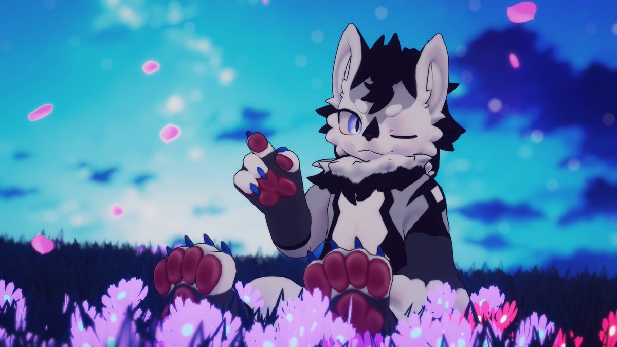 Cho_co_co_mint's tweet image. 🎉祝！アクロ君１歳！🎉

アクロ君を去年のJMoFでお迎えして、ちょうど１年が経ちました🥳
沢山の方から可愛い！カッコいい！と言ってもらえる子になれて嬉しい限りです
これからもよろしくお願いします🐺✨