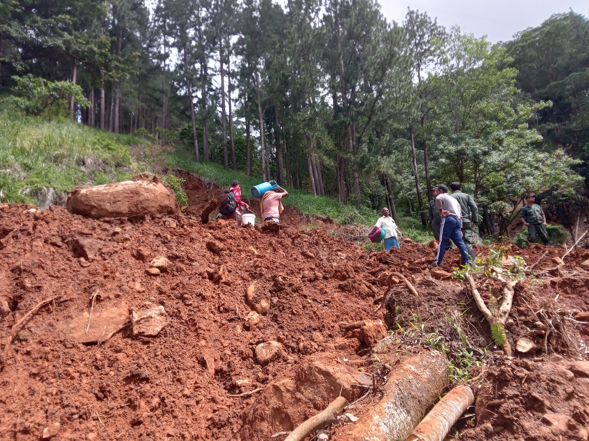 Ruki Fernando tweet media