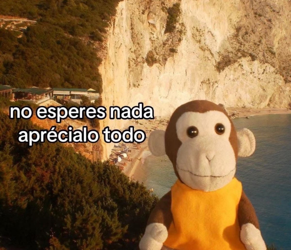 emociones amarillas (@conoloracigarro) on Twitter photo 