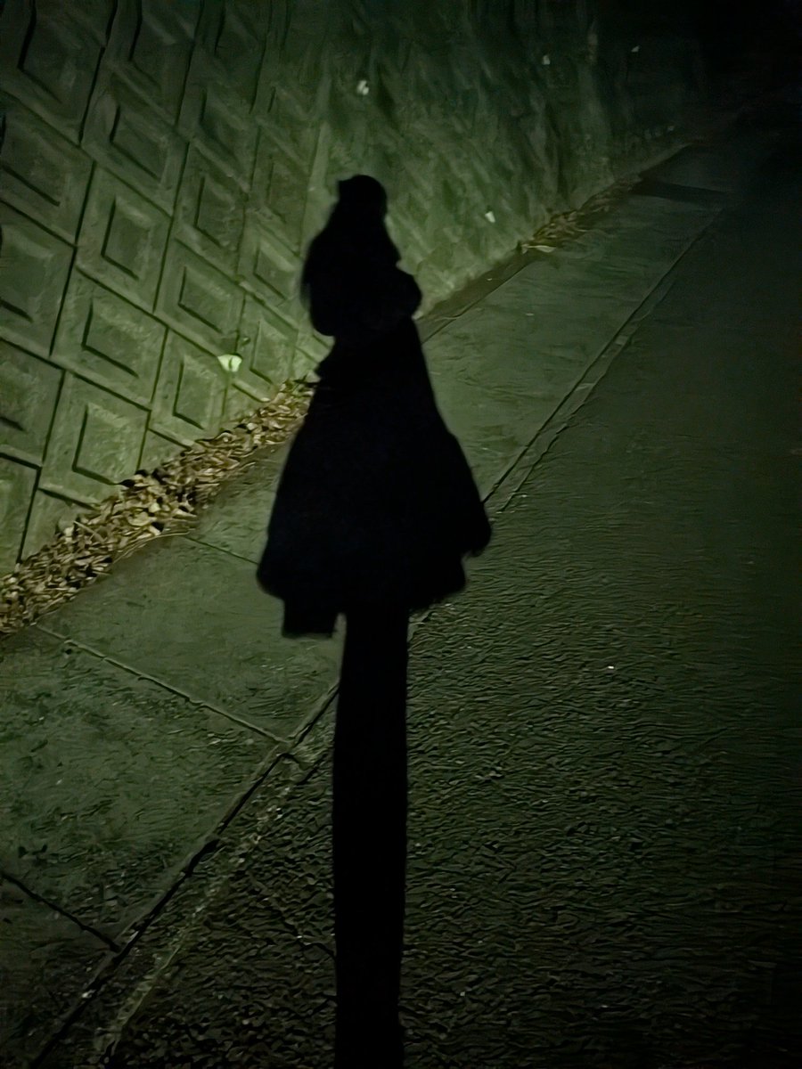 hazel_classical's tweet image. 膝丈のときの影が好き