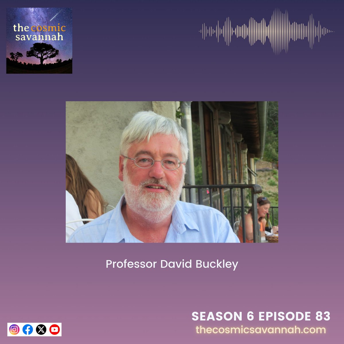 The Cosmic Savannah tweet media