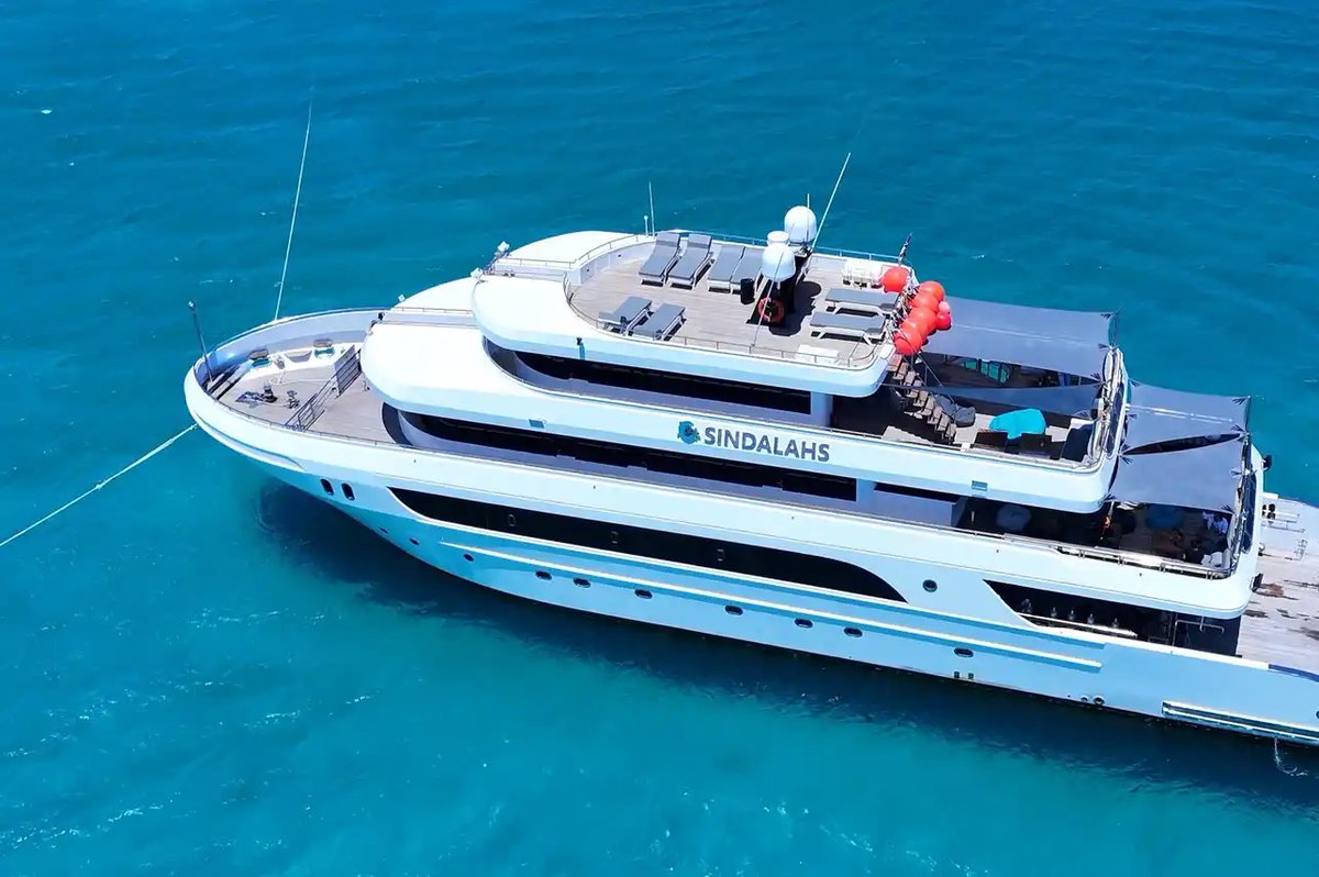 LiveaboardCom's tweet image. 🇪🇬 Sindalahs — 20% OFF
New Red Sea liveaboard 🛥️
26 guests • Suites • Brothers, Daedalus &amp;amp; Elphinstone 🐠
📆 Feb 2025 departures
👉 liveaboard.com/diving/egypt/s…
#RedSeaDiving #LiveAboard #ScubaDiving