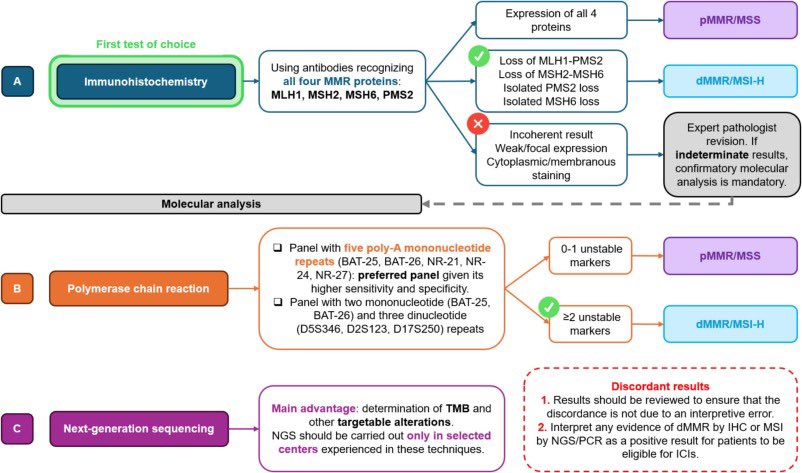 ICI resistance in dMMR/MSI-H CRC  
🚀 ICIs = SoC, but ~1/3 develop resistance  
🧩 Intrinsic + extrinsic mechanisms (beyond misdiagnosis)  
🎯 Need better biomarkers beyond dMMR/MSI-H  
🔬 New approaches: combos, novel targets, microbiome modulation  
➡️ Roadmap to optimize ICI