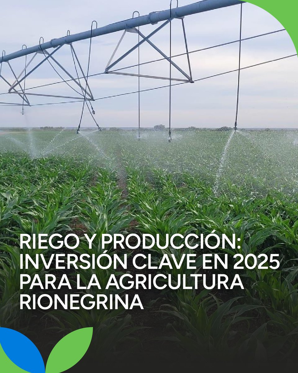 💧👉 Río Negro consolidó en 2025 un punto de inflexión para la agricultura con inversiones estratégicas en riego que fortalecieron la producción y mejoraron el uso del agua en todo el territorio.

🚜🌾 Estas políticas, impulsadas a través del Ministerio de Desarrollo Económico y